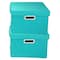 Household Essentials Storage Bins with Lids, 2ct.